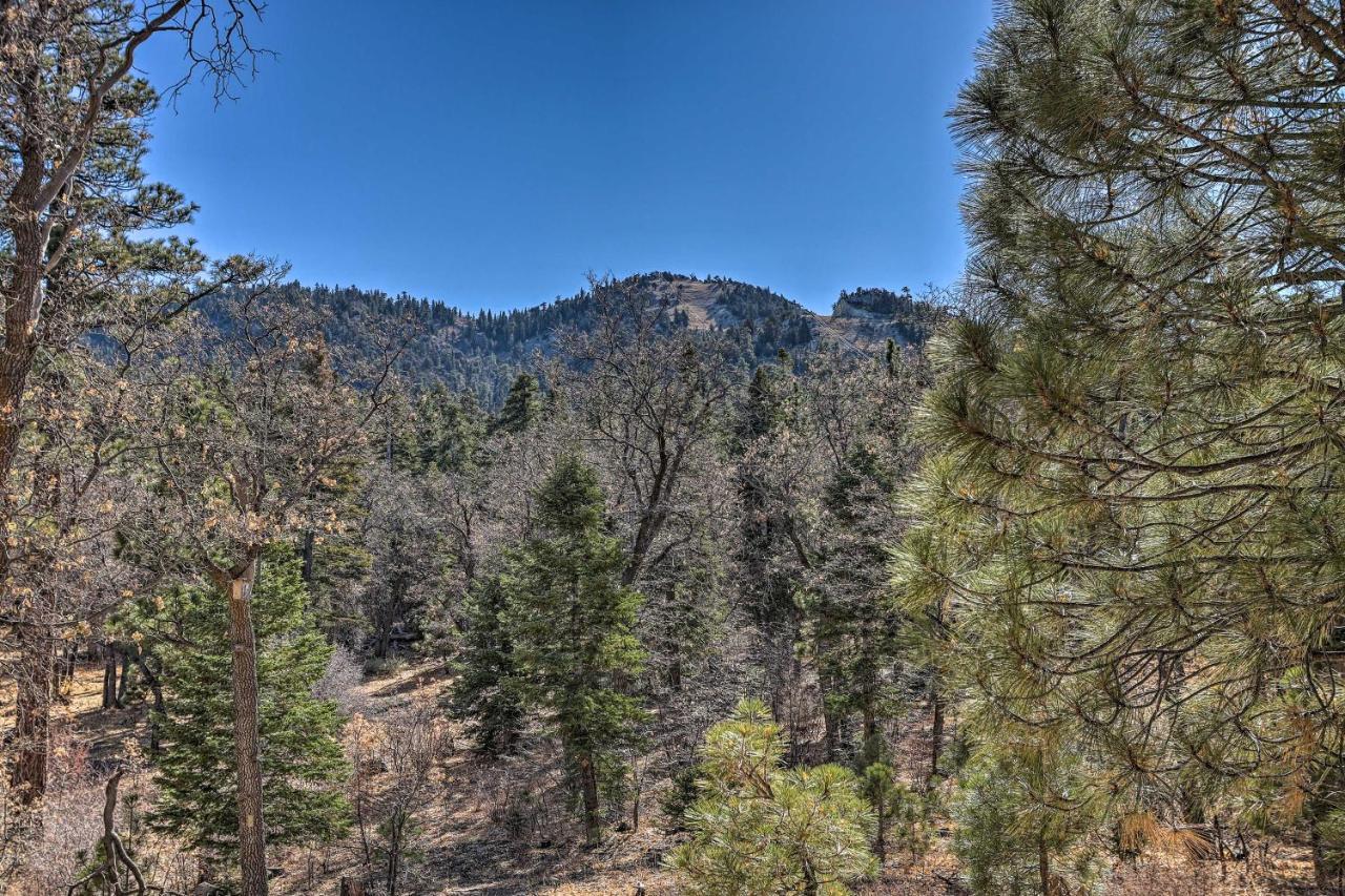 Chocolate Moose Cabin Short Walk To Slopes Villa Big Bear Lake Esterno foto
