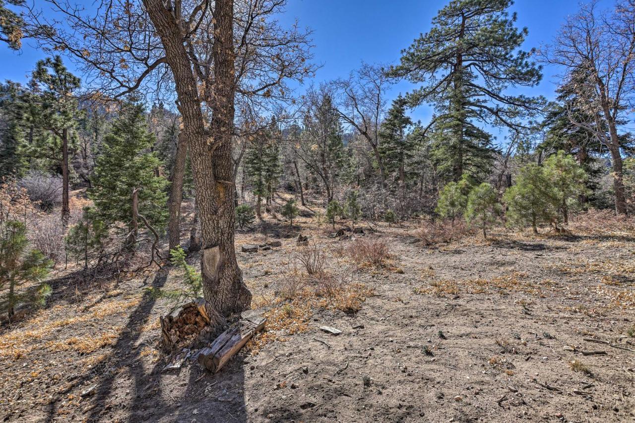 Chocolate Moose Cabin Short Walk To Slopes Villa Big Bear Lake Esterno foto